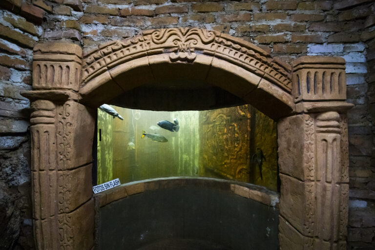 Aquarium Montecarlo