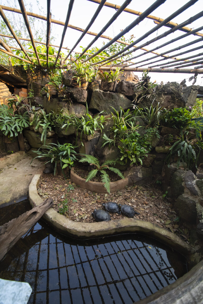 Aquarium Montecarlo
