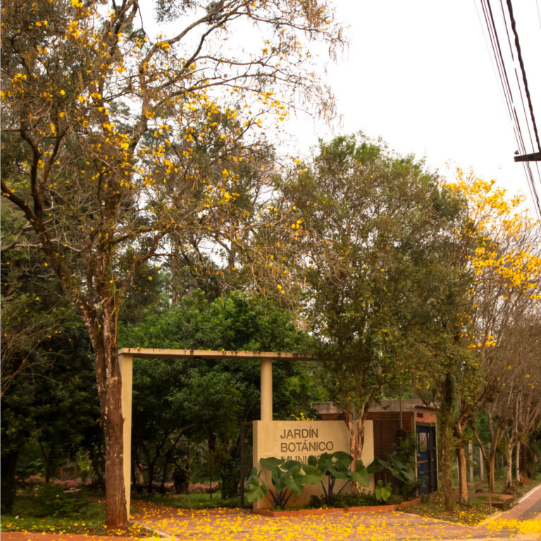 ciudad-4