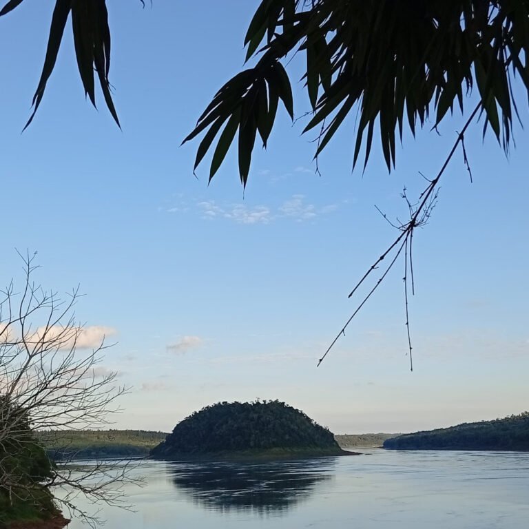 Reserva Provincial Isla Caraguatay