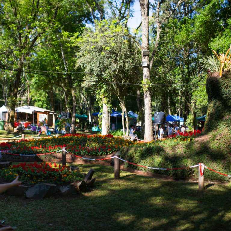 fiestadelaflor-galeria-1