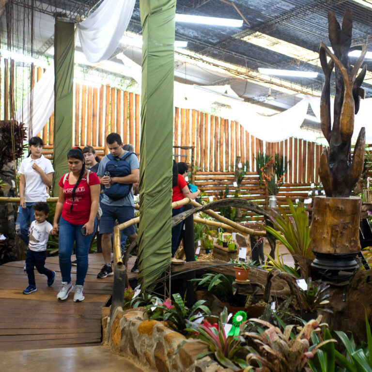 fiestadelaflor-galeria-5