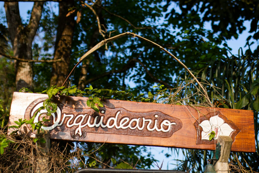 Ehwo Orquídeas
