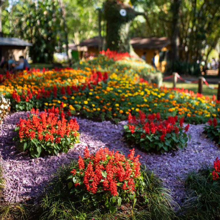 Parque Juan Vortisch