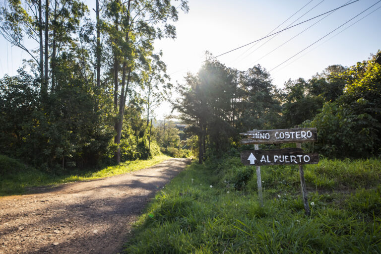 Paseo Costero de Montecarlo