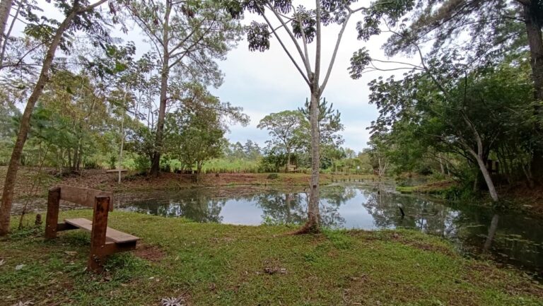 Parque Roberto Münz