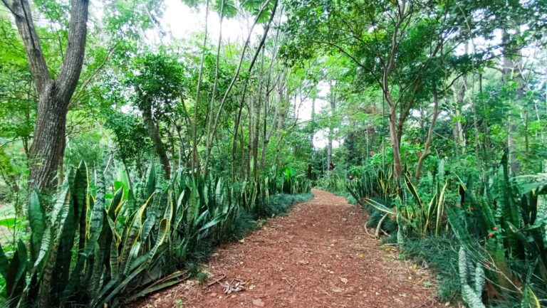 Parque Roberto Münz