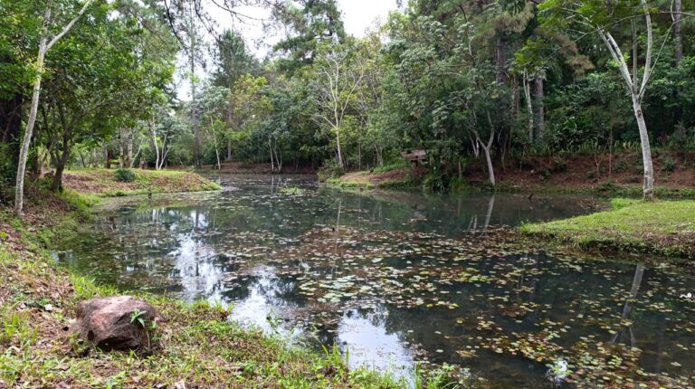 Parque Roberto Münz