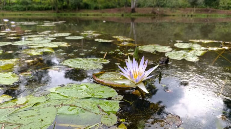 Parque Roberto Münz